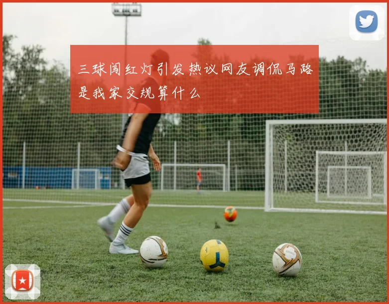 三球闯红灯引发热议网友调侃马路是我家交规算什么