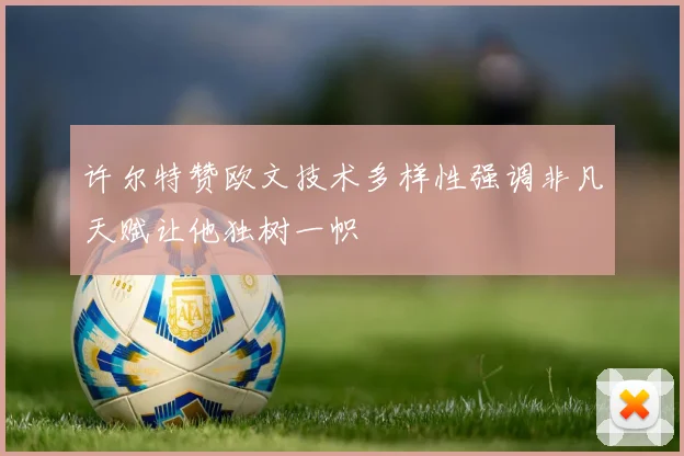 许尔特赞欧文技术多样性强调非凡天赋让他独树一帜