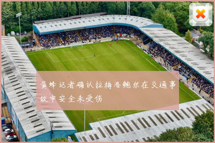 黄蜂记者确认拉梅洛鲍尔在交通事故中安全未受伤